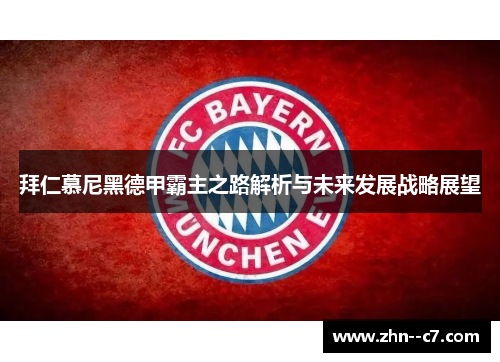 拜仁慕尼黑德甲霸主之路解析与未来发展战略展望