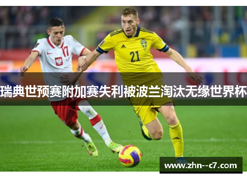 瑞典世预赛附加赛失利被波兰淘汰无缘世界杯 瑞典世预赛附加赛失利被波兰淘汰无缘世界杯